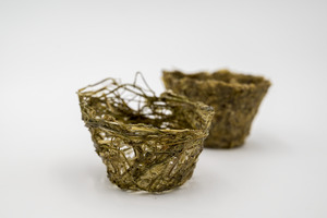 Bild: Starch-Based Bioplastic